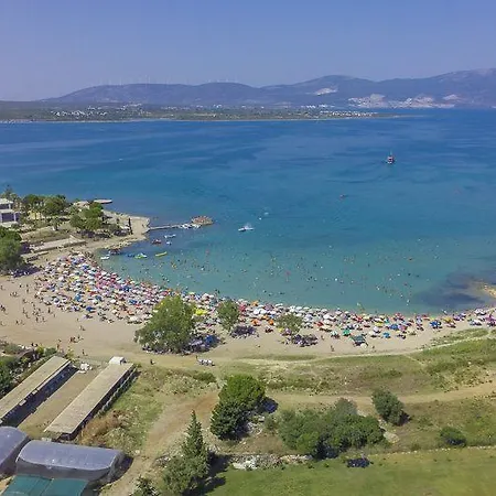 Dream * Didim
