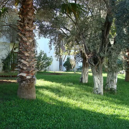 Villa Dream Didim