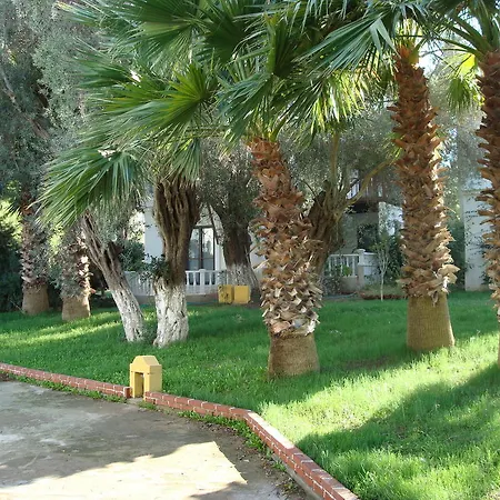 Villa Dream
